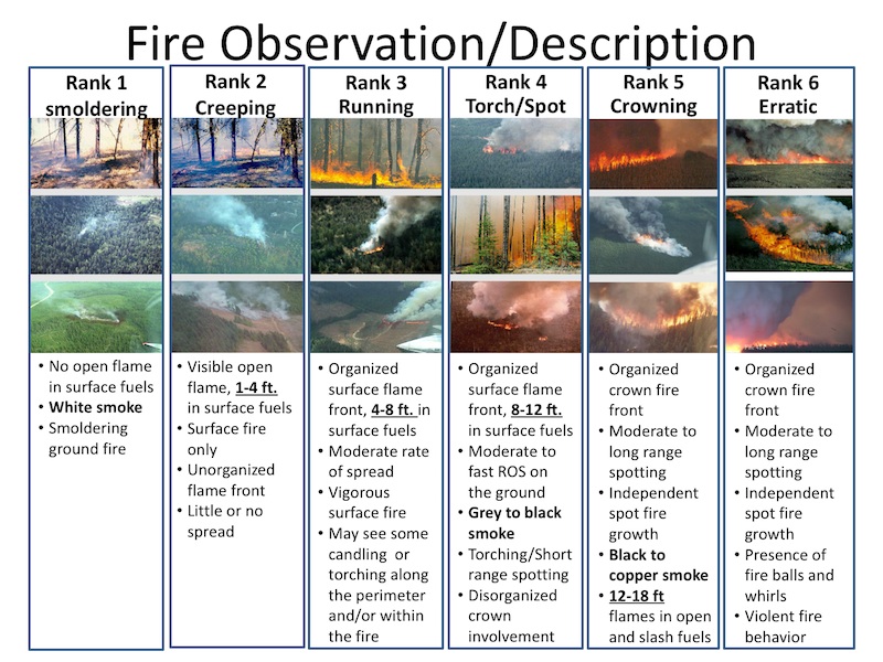 Wildfire Scene
