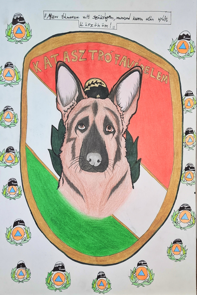 14. pályamű képe